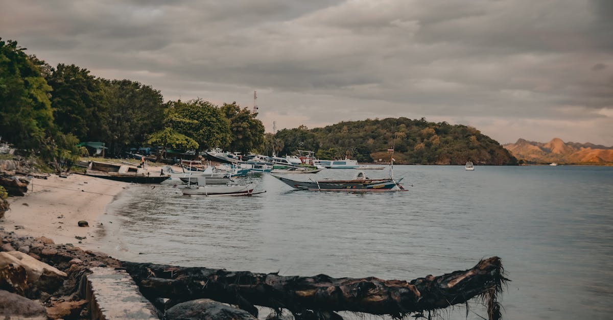 How many speakers should I put in my boat?