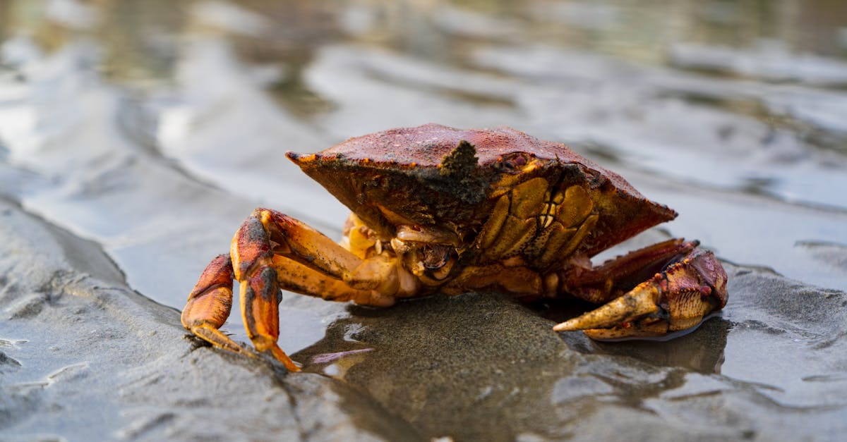 What's the difference between a marine radio and a regular car radio?